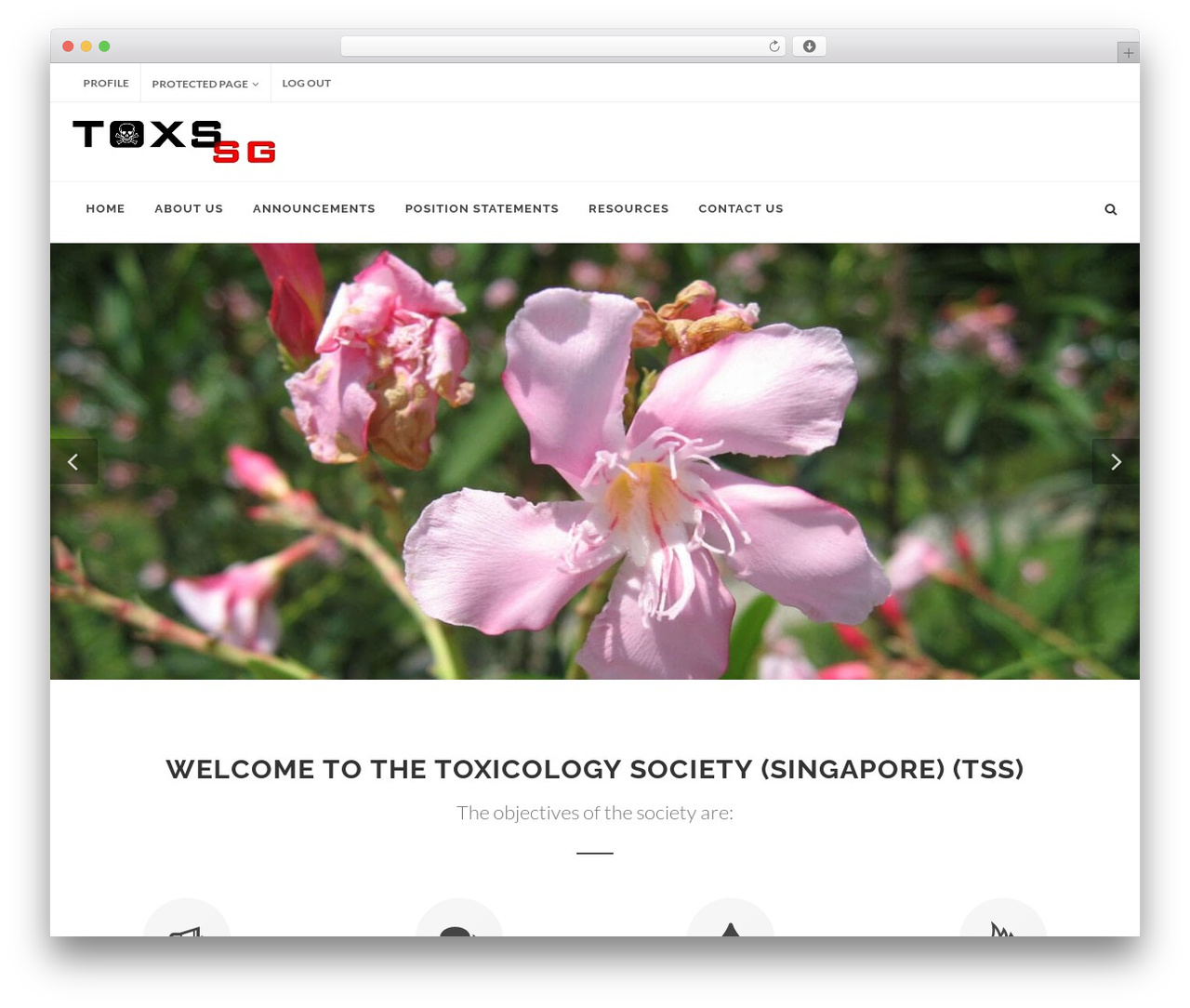 WordPress theme Canvas - toxsg.org