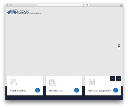 WordPress theme Cardioly - mozaikhastanesi.com