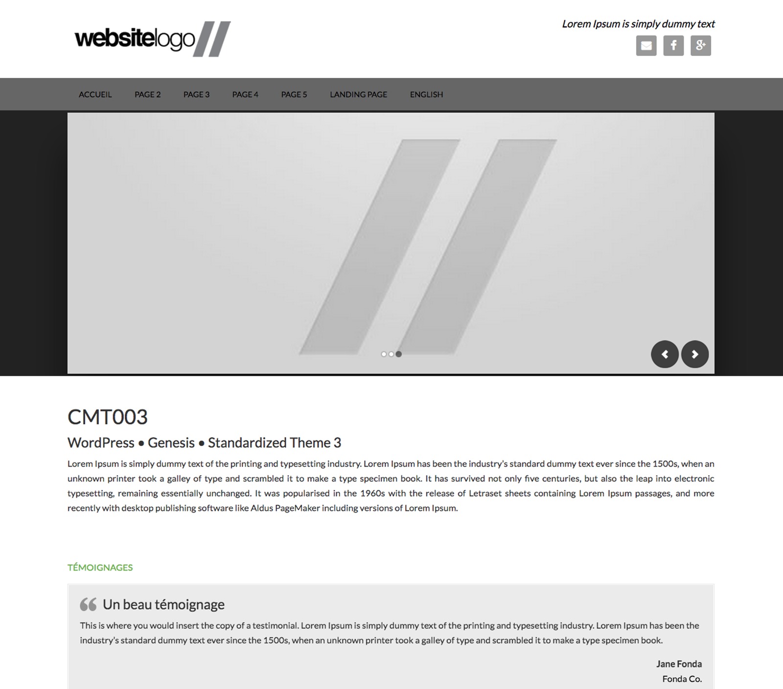 WordPress theme CMT003