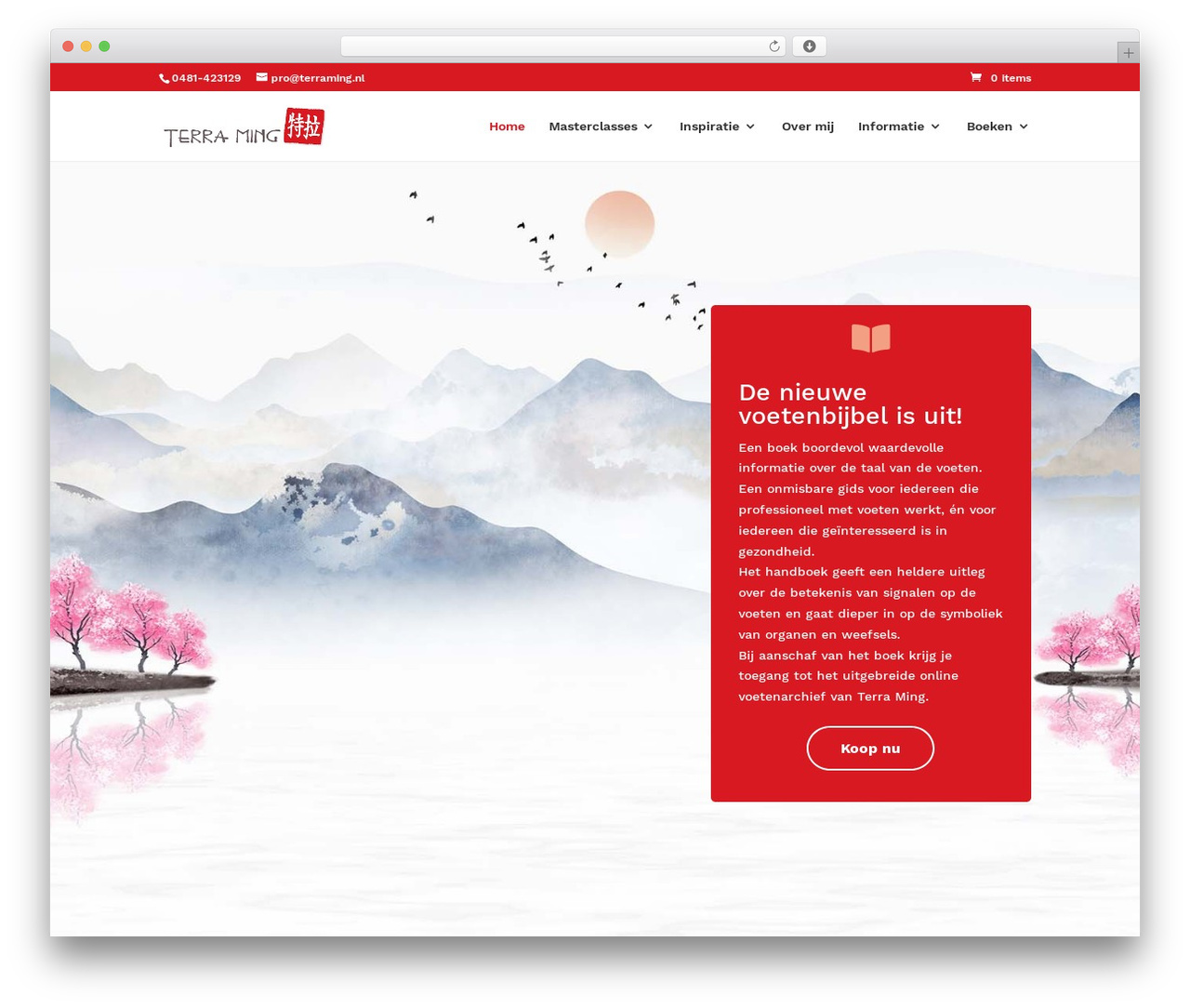 Divi WordPress theme - terraming.nl