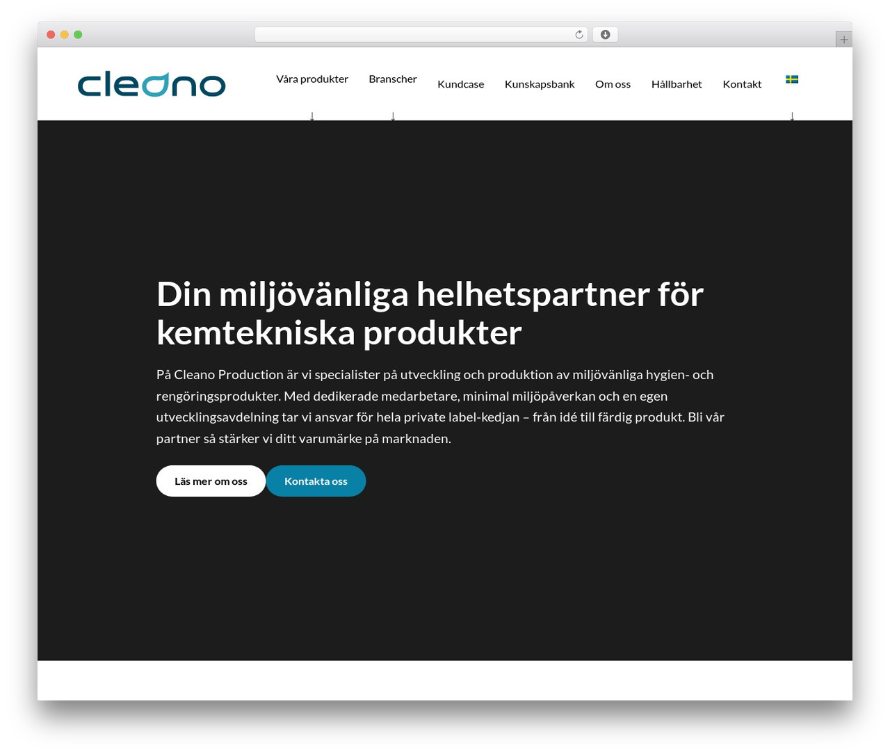seodr WordPress theme - cleanoproduction.se