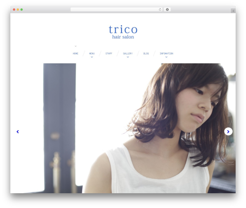 Cherry blog layouts WordPress plugin - tricohairsalon.com