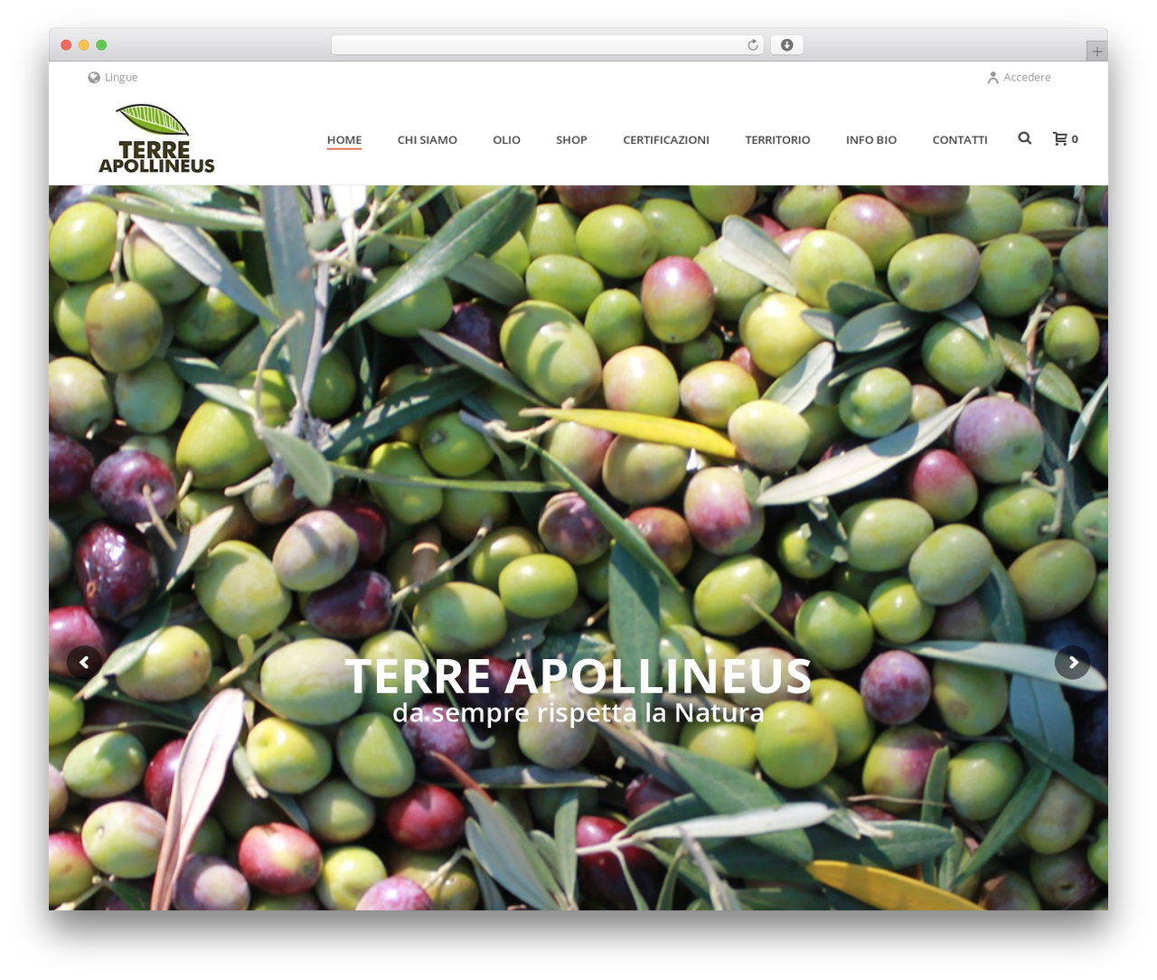 Jupiter WordPress theme - terreapollineus.com Jupiter WordPress theme - terreapollineus.com