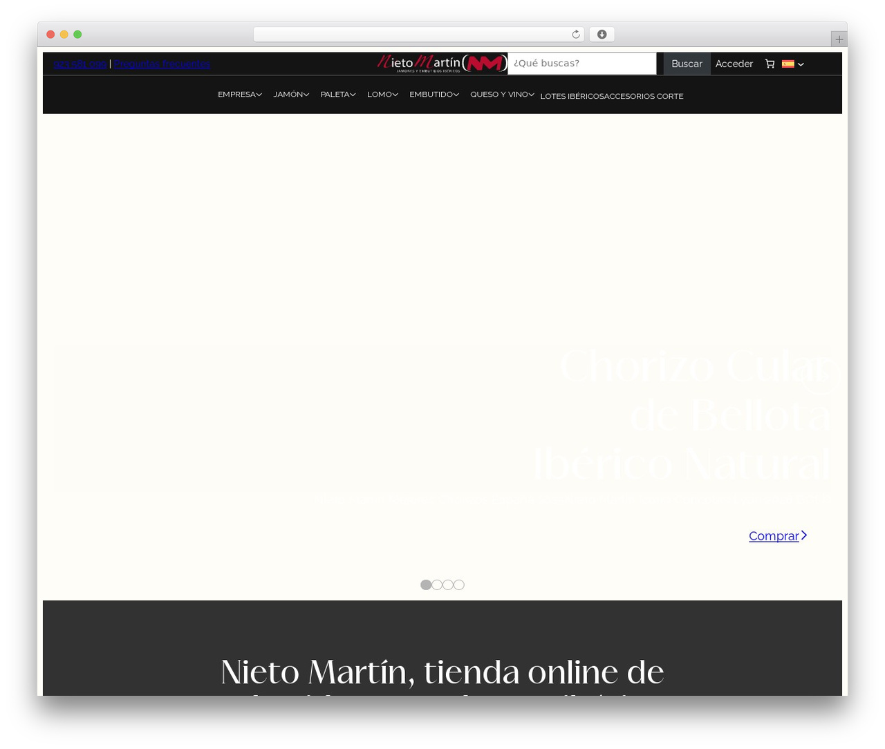 Theme WordPress Microbio theme - nietomartin.es