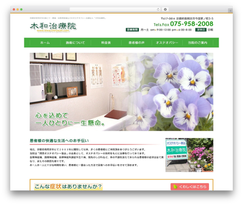 Themify Basic WP theme - kiwa-chiryouin.com