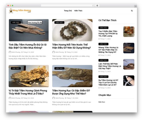 Disto premium WordPress theme - blogtramhuong.com
