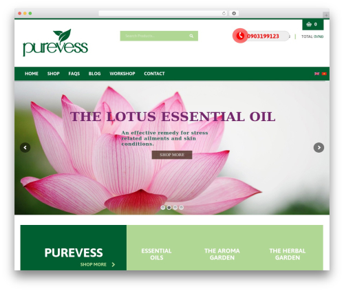 KYBULLY WordPress theme - purevess.com