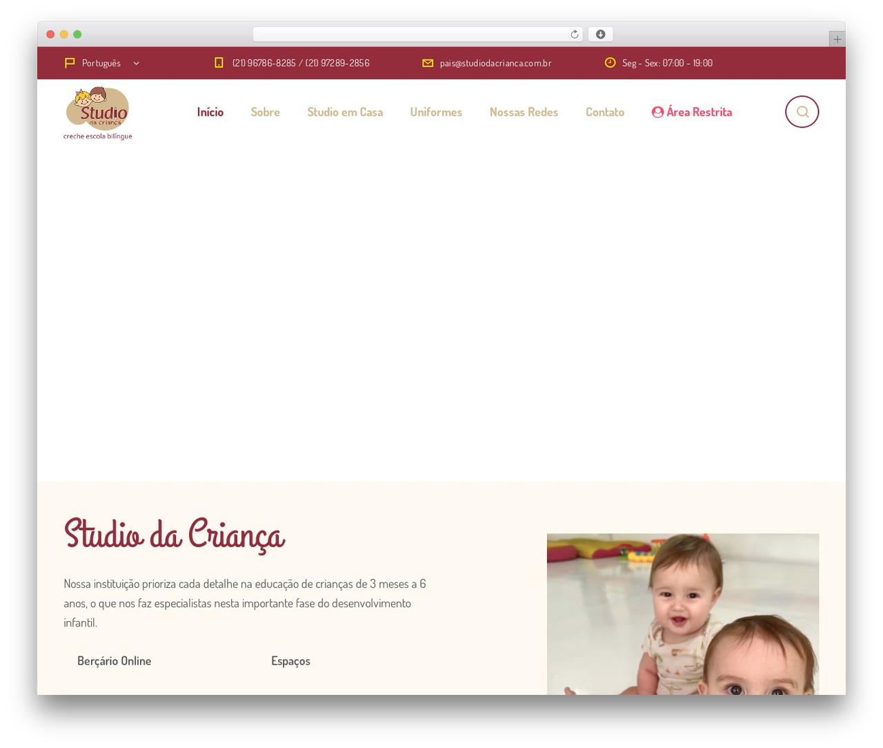 Smarty WordPress theme - studiodacrianca.com.br
