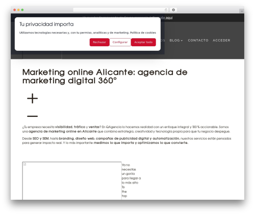 Theme WordPress Divi - qagencia.com