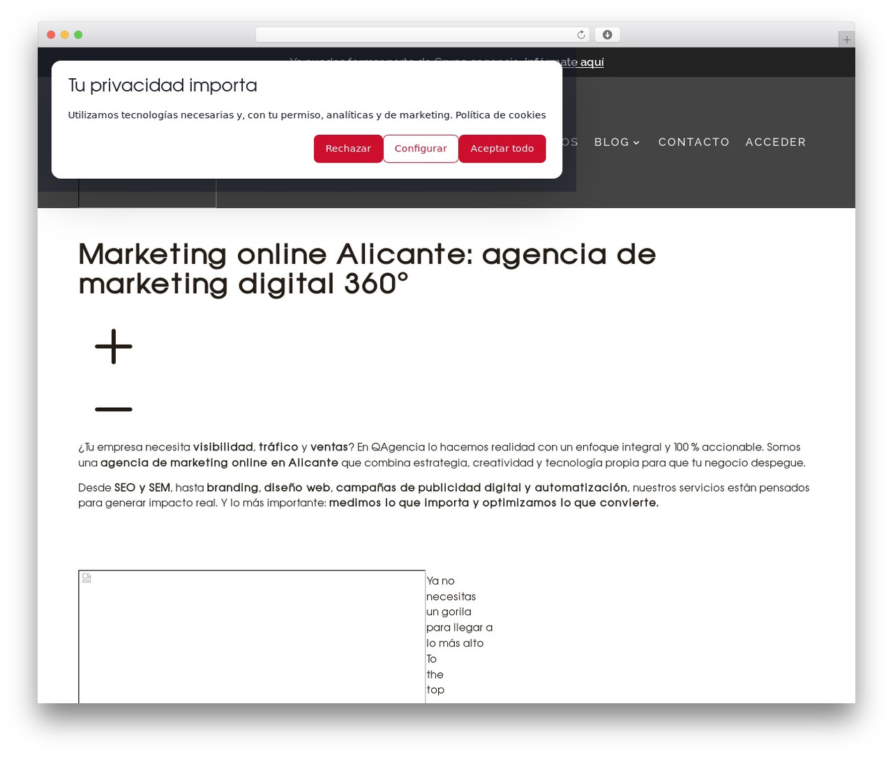 Theme WordPress qagencia - qagencia.com Theme WordPress qagencia - qagencia.com