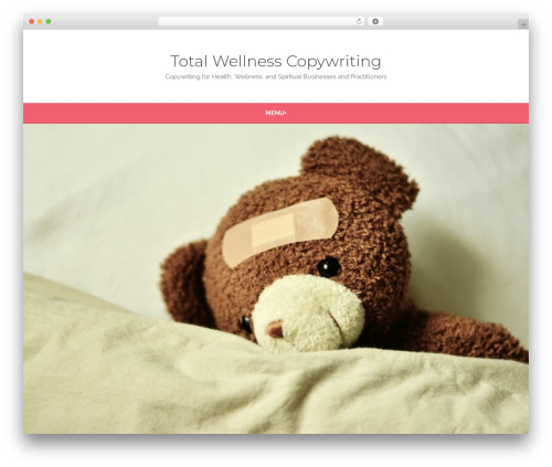 Disable Right Click Images (disable-right-click-images) free WordPress plugin - totalwellnesscopywriting.com