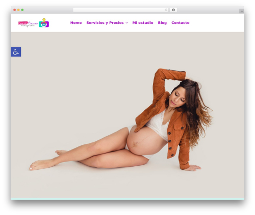 Astra best free WordPress theme - carolbravo.com