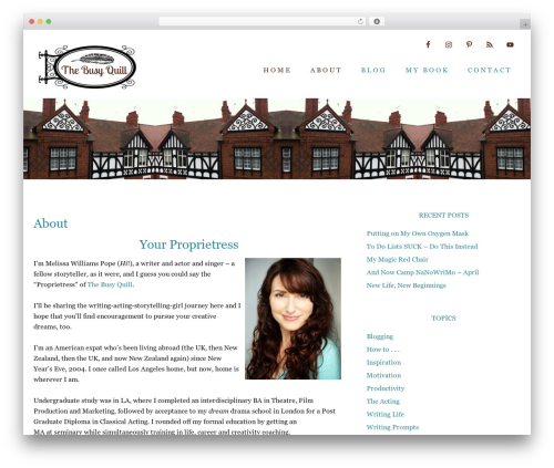 Popupally pro WordPress plugin - thebusyquill.com
