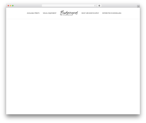 Imaginem blocks ii WordPress plugin - bodyscapes.co.nz