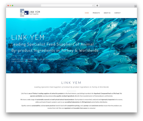 Malmo WordPress theme - linkyem.com