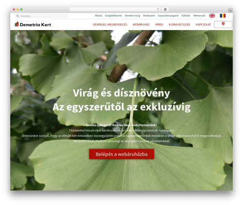 Bs barion pixel WordPress plugin - demetriakert.hu