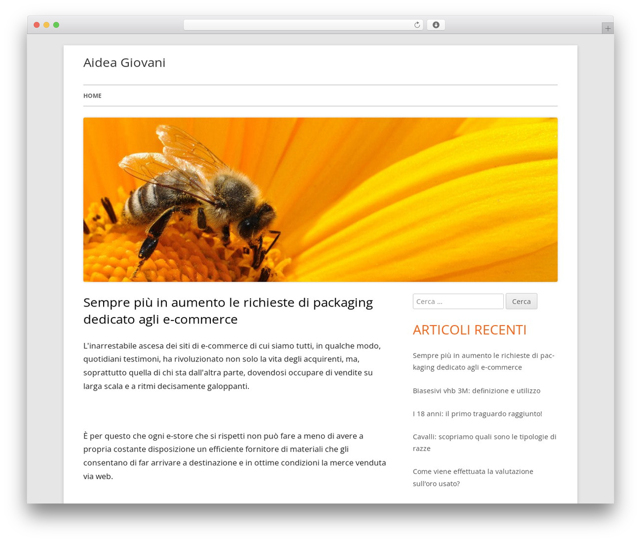WordPress theme Tiny Framework - aidea-giovani.it