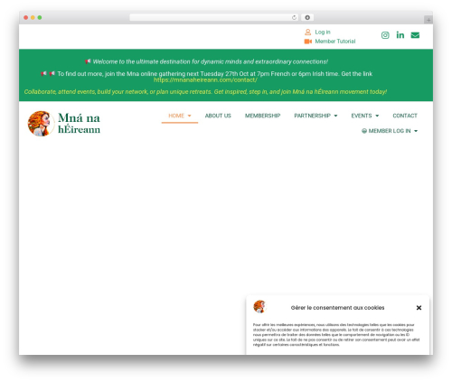 Bearsthemes addons WordPress plugin - mnanaheireann.com