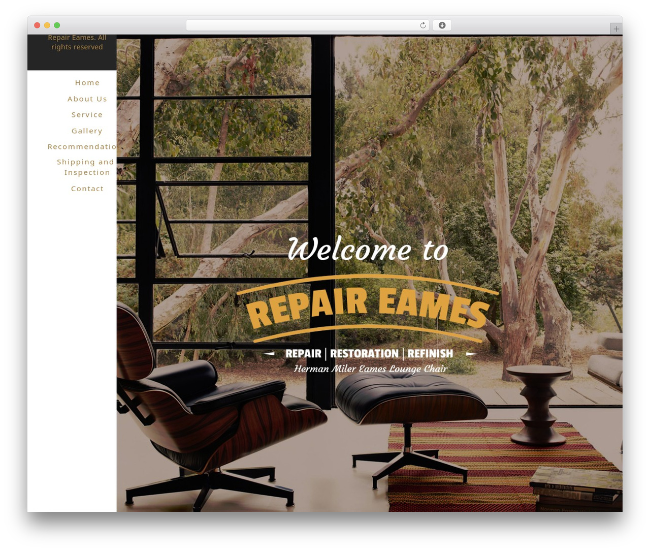 Massive Dynamic theme WordPress - repaireames.com