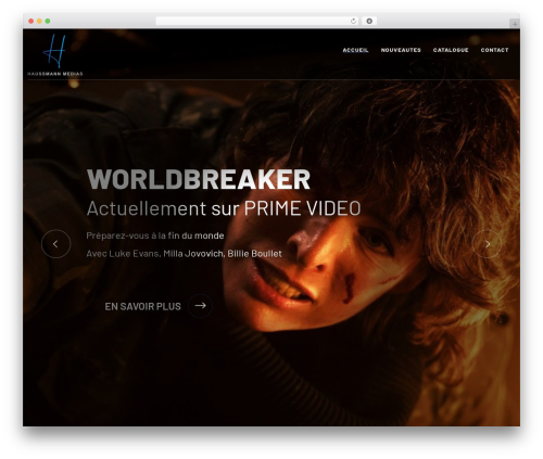 Wolf custom post meta WordPress plugin - haussmann-medias.com
