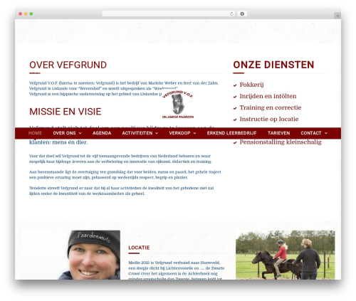 Curly extension WordPress plugin - vefgrund.nl