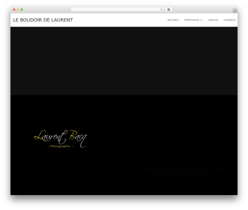 Lws optimize WordPress plugin - leboudoirdelaurent.com