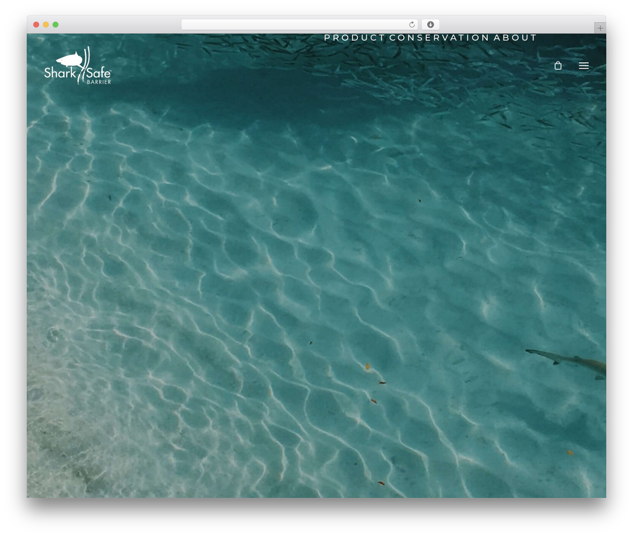 WP theme Uncode Child - sharksafesolution.com
