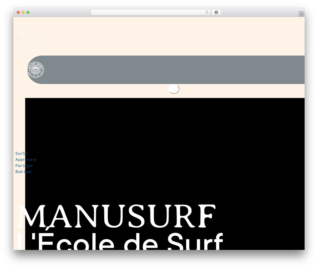 Bricks WordPress theme - manusurf.com