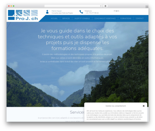 Divi theme WordPress - proj.ch