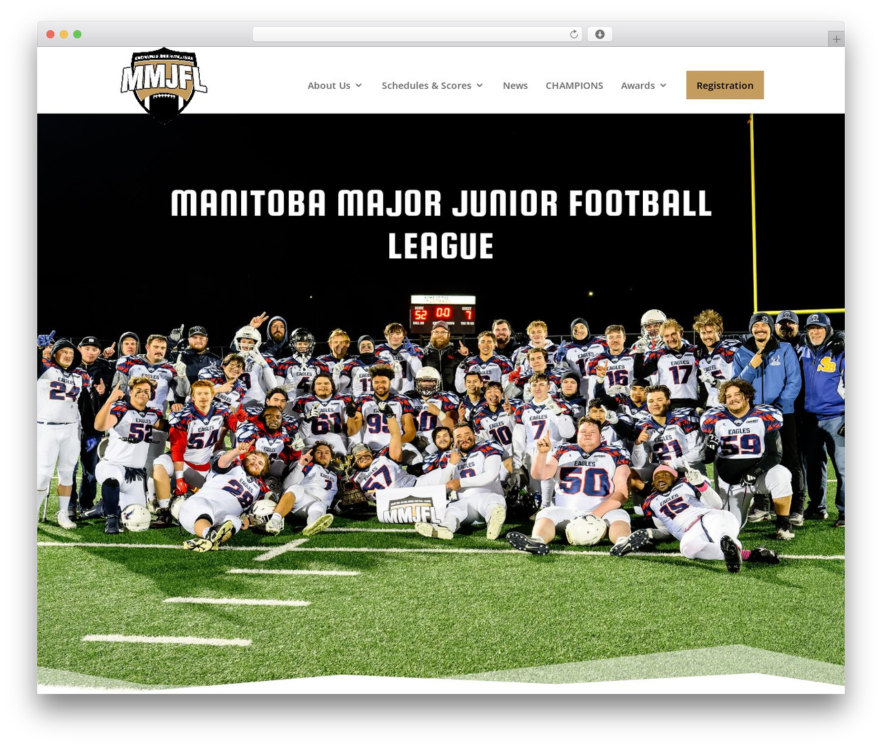 Divi theme WordPress - mmjfl.ca