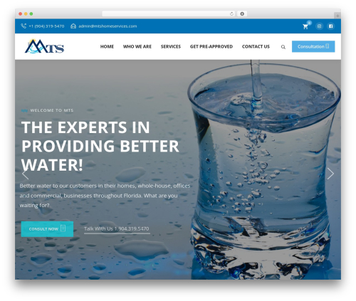 Eltron features WordPress plugin - mtshomeservices.com