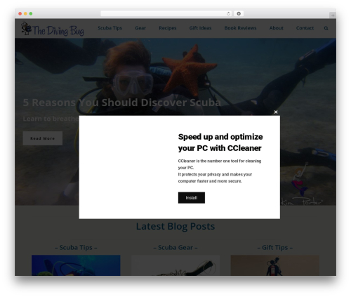 Rit core WordPress plugin - thedivingbug.com