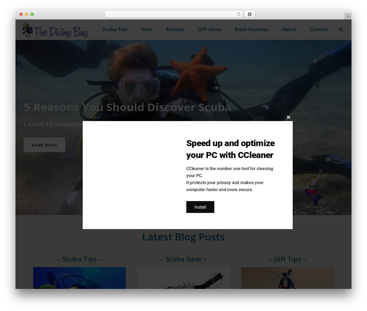 Jupiter theme WordPress - thedivingbug.com