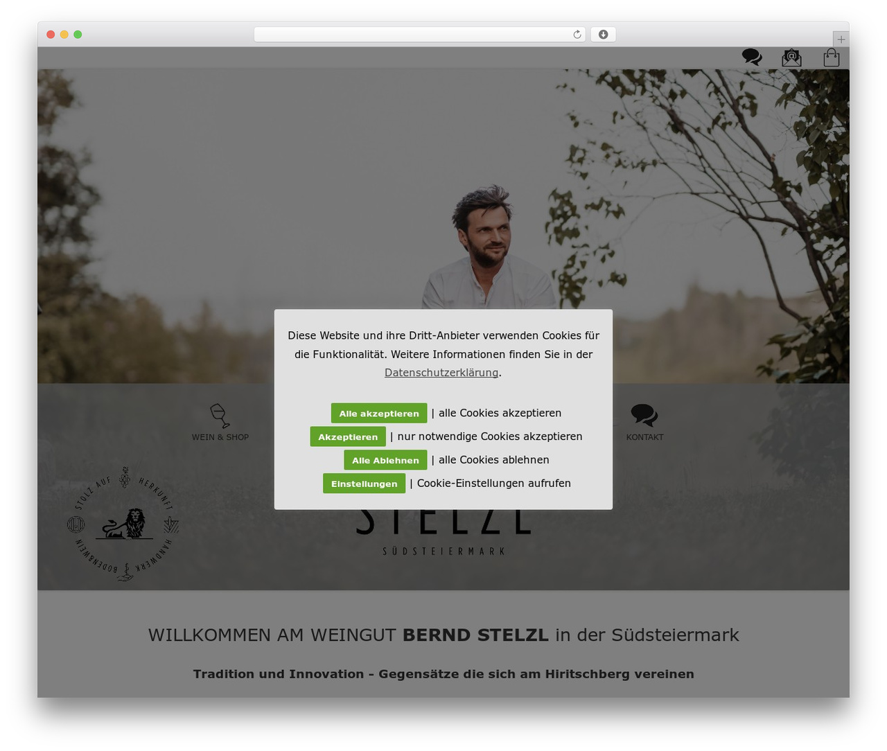 Theme WordPress Tiny Framework Child Example - berndstelzl.at