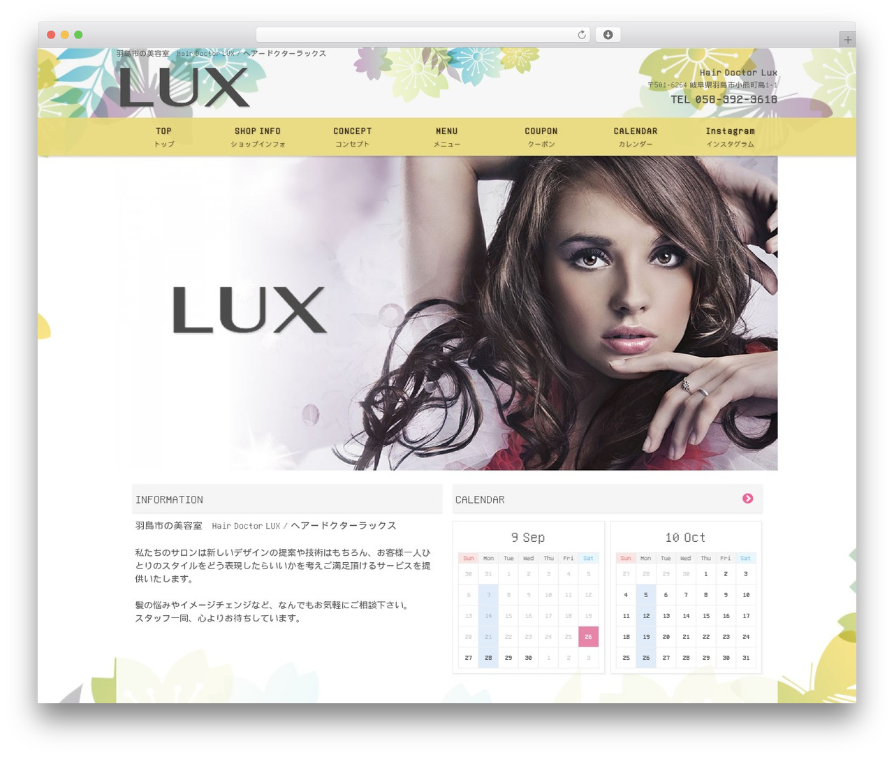 WordPress theme zst-w-a-old-0009-a_lux02 - hair-doctor-lux.com