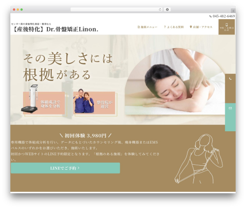 WordPress theme Emanon Premium - l-dot.com