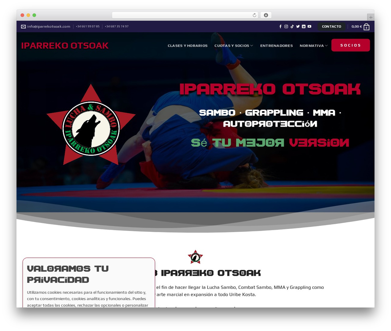 WordPress theme Flatsome - iparrekotsoak.com