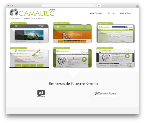 You WP theme - camaltec.com