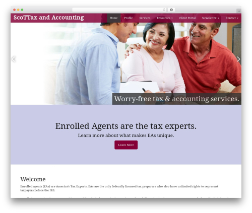 Gns ccms WordPress plugin - scottaxandaccounting.com