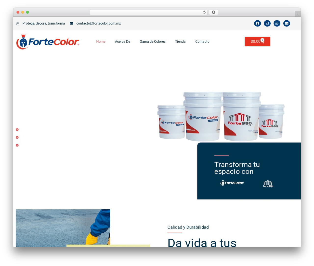 Hello Elementor WordPress theme - fortecolor.com Hello Elementor WordPress theme - fortecolor.com