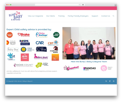 W2dc WordPress plugin - bump2babybeyond.co.uk