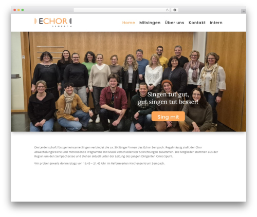 Divipasswordsprotected WordPress plugin - echor.ch