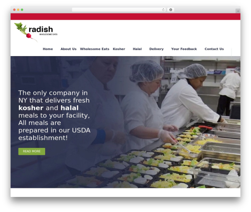 Envolve best WordPress theme - radishny.com