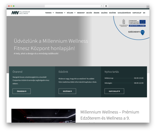 Hello Elementor theme free download - millenniumwellness.hu