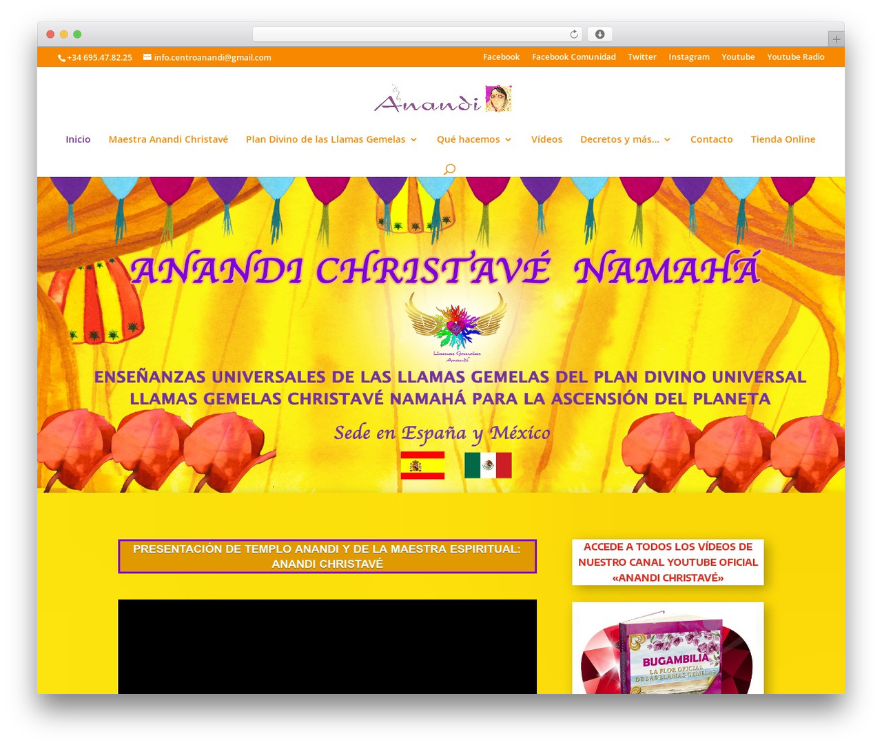 Divi theme WordPress - temploanandi.com