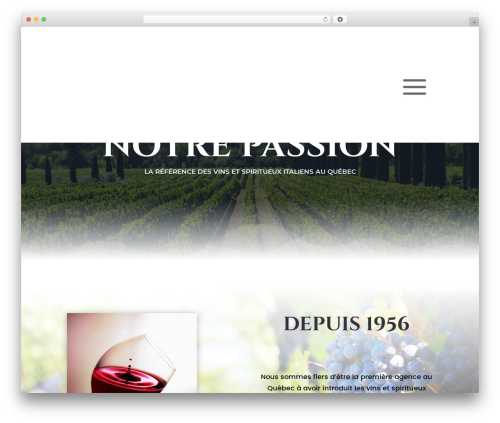 Recently viewed and most viewed products (recently-viewed-and-most-viewed-products) free WordPress plugin - italvine.com