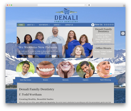 Focus Custom Theme WordPress theme - denalifamilydentistry.com