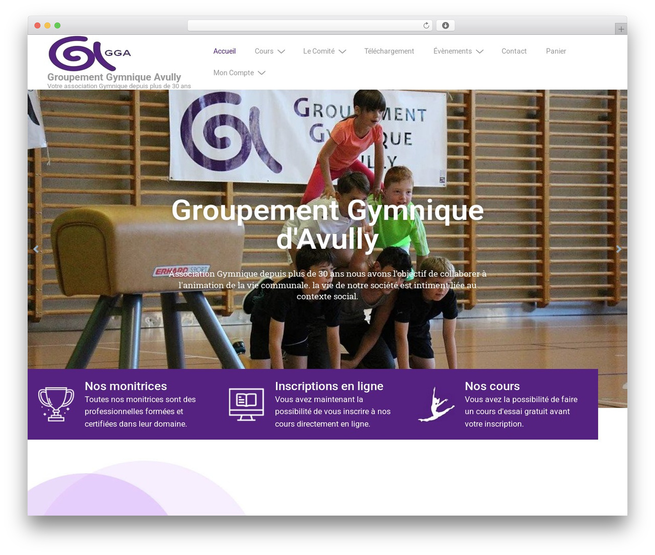 Responsive WordPress theme - groupementgymniqueavully.com