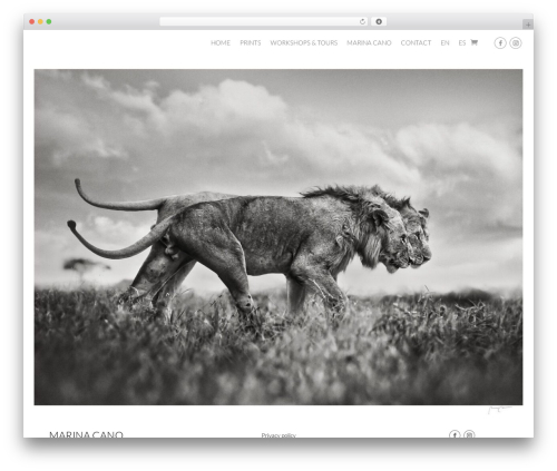 Theme WordPress Divi - www.marinacano.com