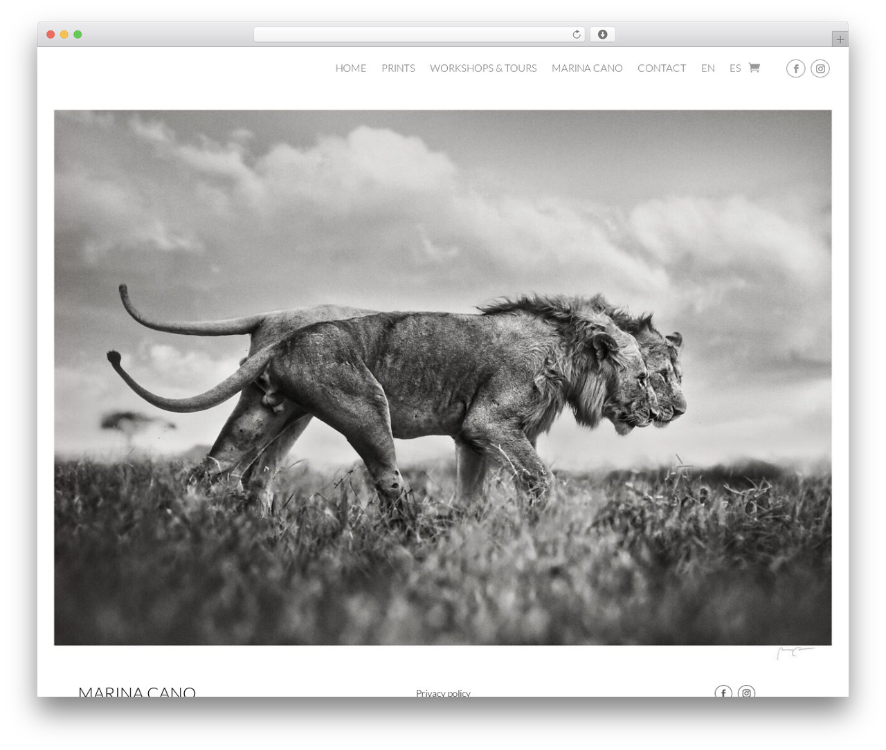 Theme WordPress Divi - www.marinacano.com Theme WordPress Divi - www.marinacano.com